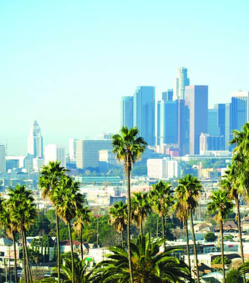 13 (1).jpg 13 (1).jpg