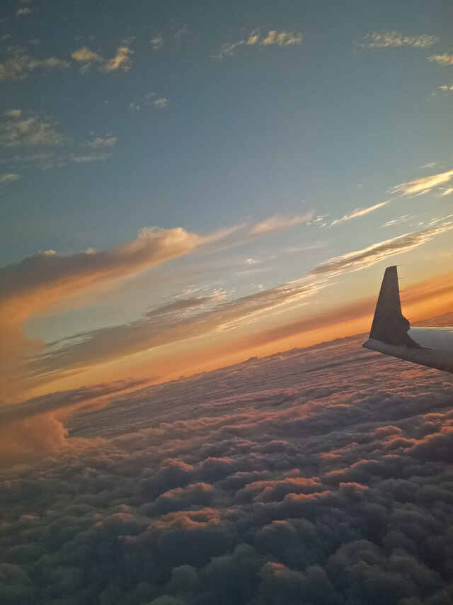 20200303_170037_002.jpg 20200303_170037_002.jpg