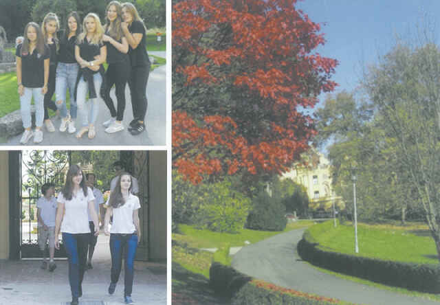 20200305_124831_012.jpg 20200305_124831_012.jpg