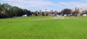 10 (1).png 10 (1).png