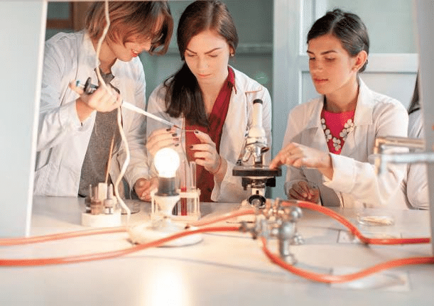 17 (1).png 17 (1).png