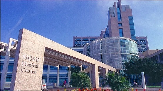 2.webp.jpg 2.webp.jpg