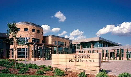 10.webp.jpg 10.webp.jpg