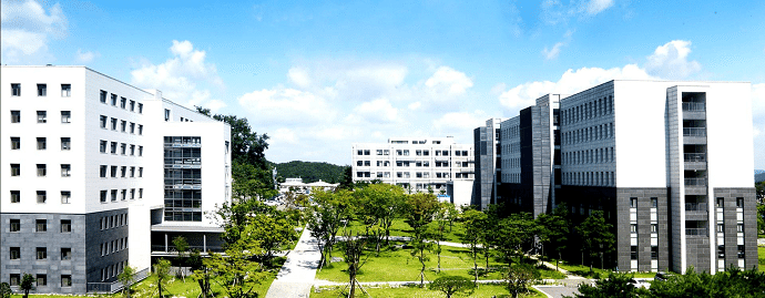 11 (1).png 11 (1).png