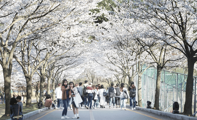 18 (1).png 18 (1).png