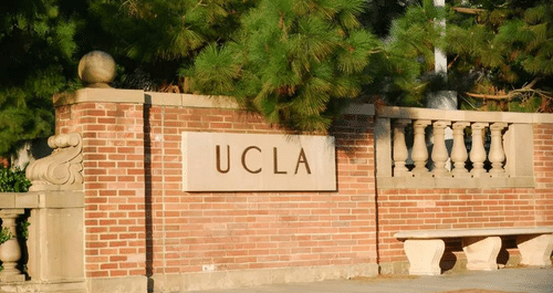 19 (1).png 19 (1).png