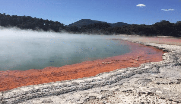 20 (1).png 20 (1).png