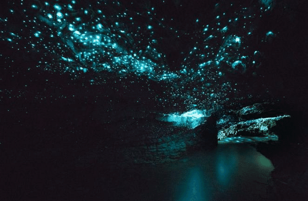 21 (1).png 21 (1).png