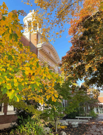 圖片7.png 圖片7.png